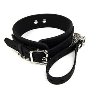 n10529 bound to please silicone collar and lead set 3 1