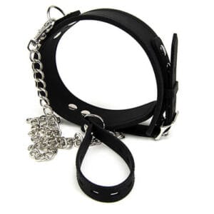 n10529 bound to please silicone collar and lead set 4 1