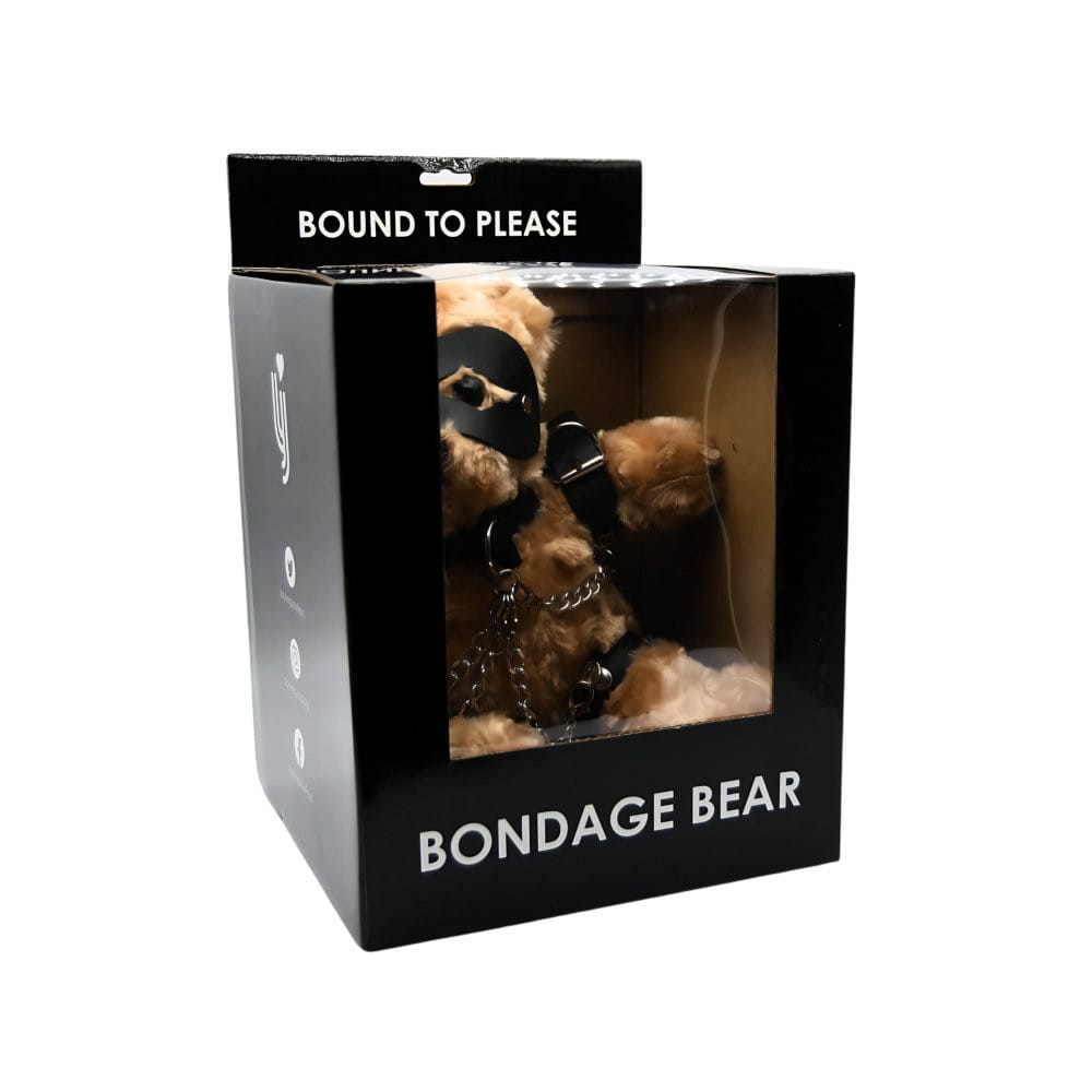 n12554-bound-to-please-bondage-bear-pkg-1 n12554 bound to please bondage bear pkg 1