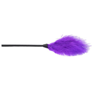 n12279 bound to play bondage kit purple 11 piece tickler