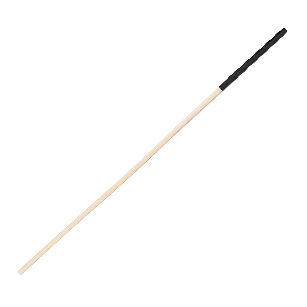 n12774-bound-to-please-spanking-cane-1 n12774 bound to please spanking cane 1