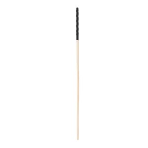 Bound to Please Spanking Cane 3 n12774 bound to please spanking cane