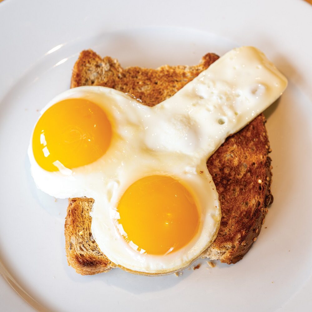 n7394-willie-egg-fryer-3 n7394 willie egg fryer 3